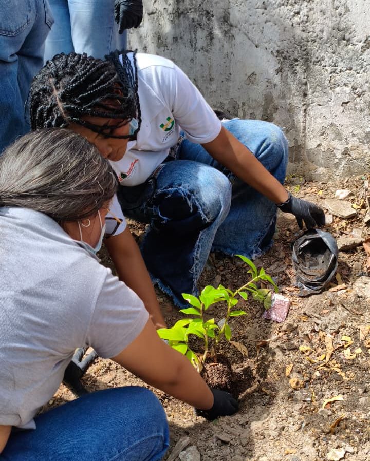 Día del arbol 2026 (2)